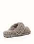 AUSTRALIAN SHEPHERD® Waffle Curly